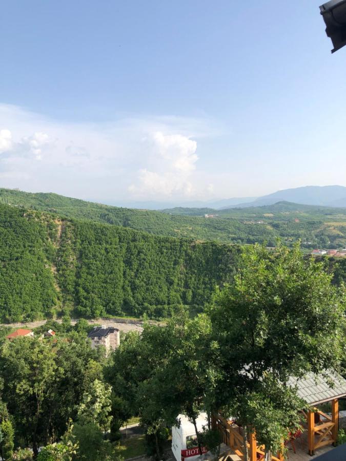 Hotel Bujtina Vrenezi Peshkopi Exteriér fotografie