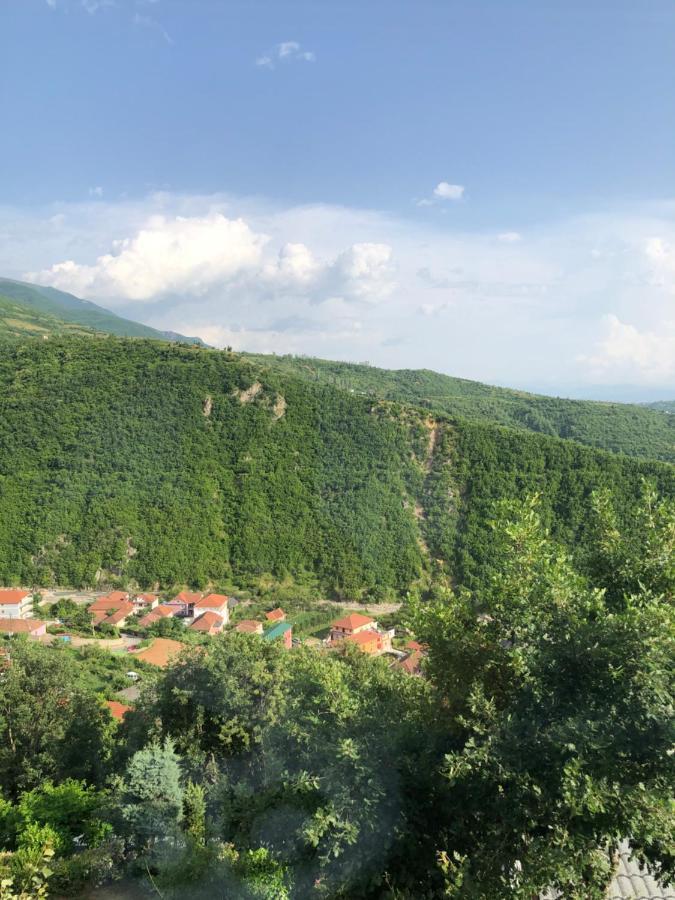 Hotel Bujtina Vrenezi Peshkopi Exteriér fotografie